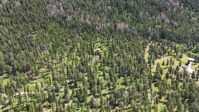 456 Gould Rd, Eureka, MT 59917 - view of property location featuring a heavily wooded area
