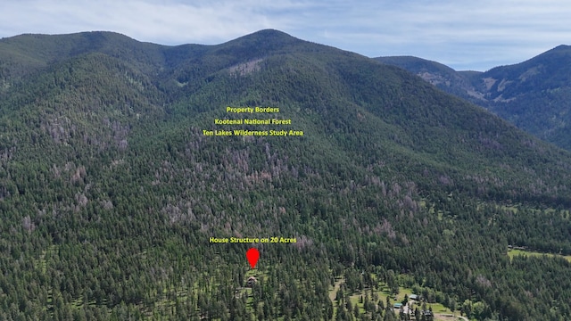 456 Gould Rd, Eureka, MT 59917 - view of mountain backdrop featuring a forest