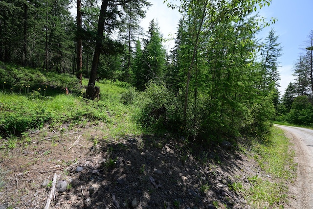 456 Gould Rd, Eureka, MT 59917 - view of undeveloped land