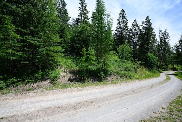 456 Gould Rd, Eureka, MT 59917 - view of dirt / gravel road