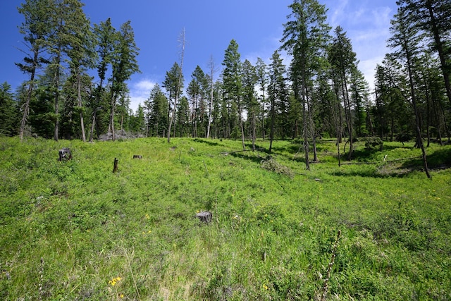 456 Gould Rd, Eureka, MT 59917 - view of nature