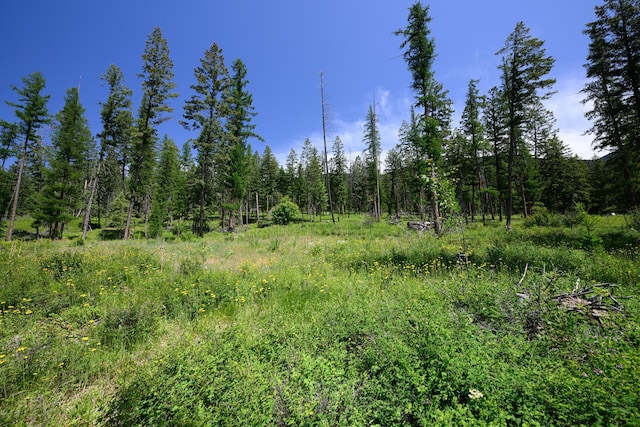456 Gould Rd, Eureka, MT 59917 - view of woods