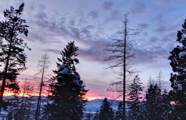 456 Gould Rd, Eureka, MT 59917 - nature at dusk with a mountain view