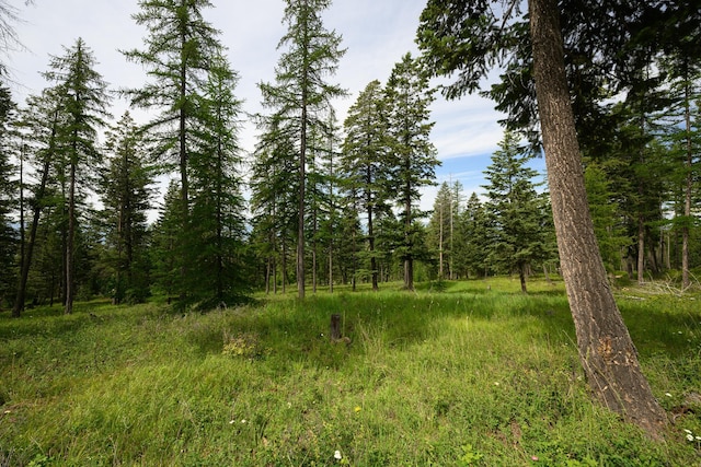456 Gould Rd, Eureka, MT 59917 - view of tree filled area