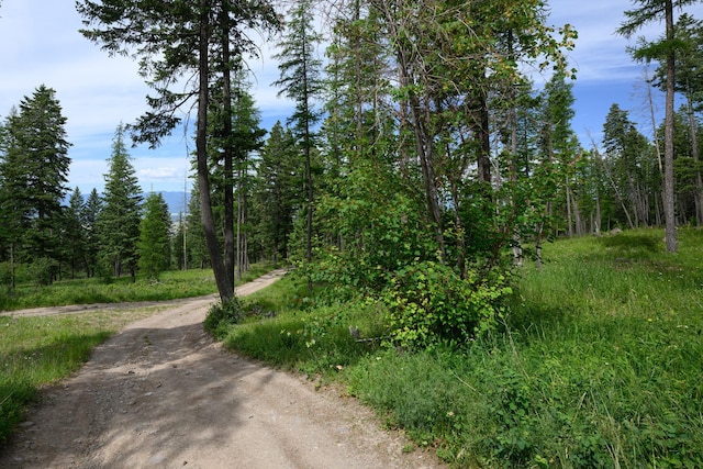 456 Gould Rd, Eureka, MT 59917 - view of street with a forest view