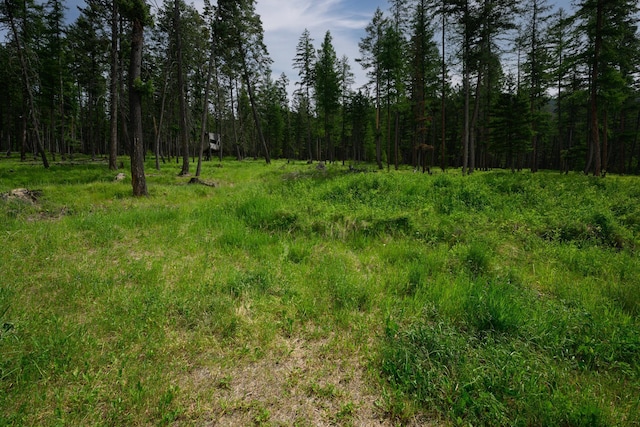 456 Gould Rd, Eureka, MT 59917 - view of tree filled area