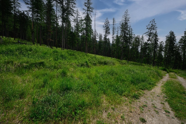456 Gould Rd, Eureka, MT 59917 - view of woods