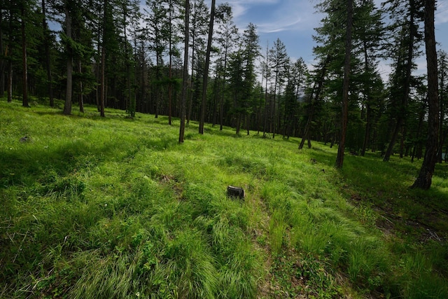 456 Gould Rd, Eureka, MT 59917 - view of woods