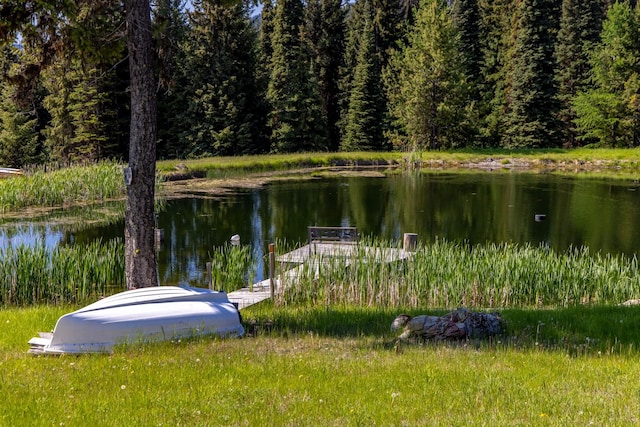 4475 Star Meadows Rd, Whitefish, MT 59937 - water view featuring a heavily wooded area and a boat dock