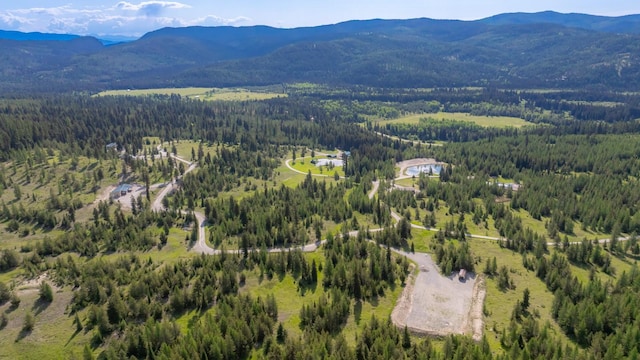 4475 Star Meadows Rd, Whitefish, MT 59937 - aerial view of mountains