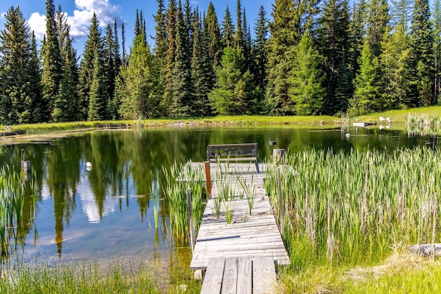 4475 Star Meadows Rd, Whitefish, MT 59937 - dock with a water view and a wooded view