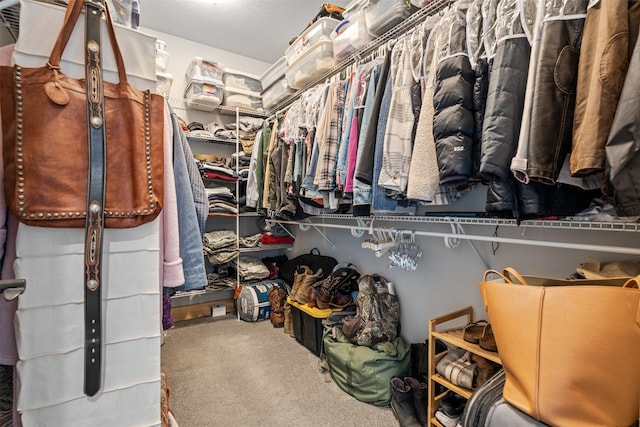 559 Stage Springs Ln, Stevensville, MT 59870 - walk in closet featuring carpet flooring