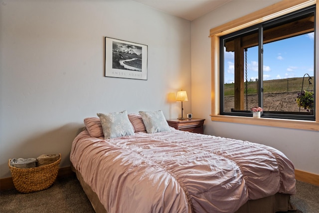 559 Stage Springs Ln, Stevensville, MT 59870 - view of carpeted bedroom