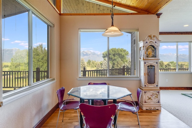 46452 Stagecoach Trl, Ronan, MT 59864 - dining room featuring healthy amount of natural light, a mountain view, wood finished floors, wood ceiling, and lofted ceiling