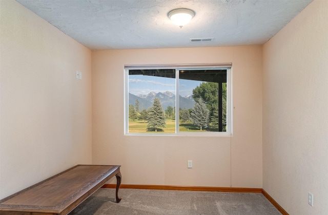 46452 Stagecoach Trl, Ronan, MT 59864 - carpeted empty room with baseboards