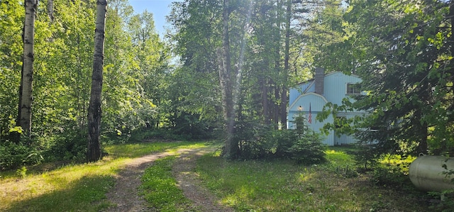22747 Mt Highway 83, Bigfork, MT 59911 - view of yard
