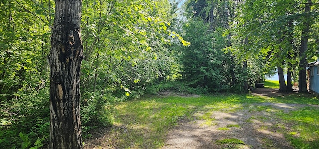22747 Mt Highway 83, Bigfork, MT 59911 - view of yard
