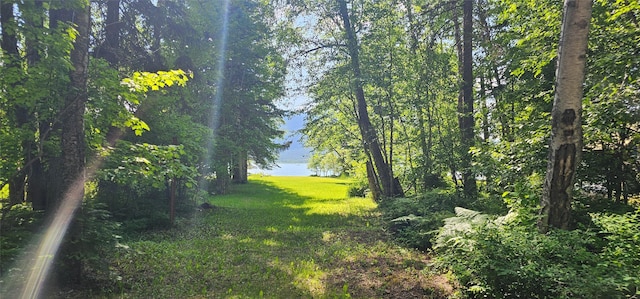22747 Mt Highway 83, Bigfork, MT 59911 - view of green lawn featuring a water view