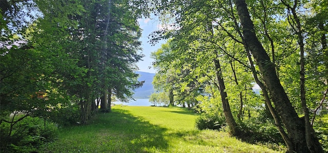 22747 Mt Highway 83, Bigfork, MT 59911 - view of green lawn with a water view