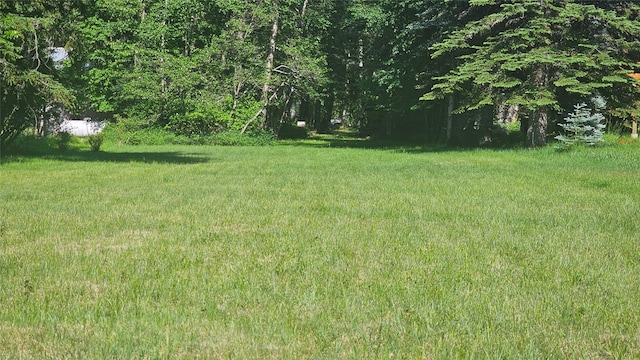 22747 Mt Highway 83, Bigfork, MT 59911 - view of grassy yard