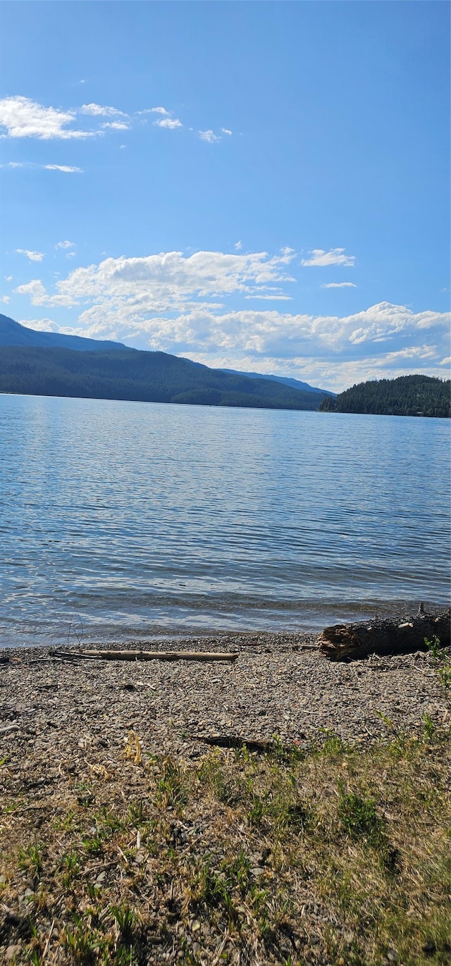 22747 Mt Highway 83, Bigfork, MT 59911 - water view with a mountainous background
