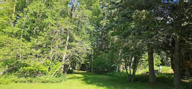 22747 Mt Highway 83, Bigfork, MT 59911 - view of yard featuring a wooded view