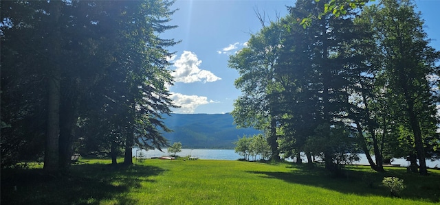 22747 Mt Highway 83, Bigfork, MT 59911 - water view with a mountainous background