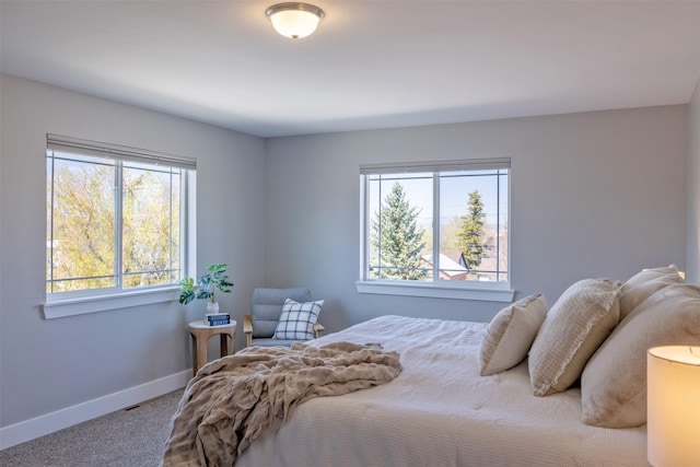 605-607 Leslie Ave, Helena, MT 59601 - carpeted bedroom with baseboards