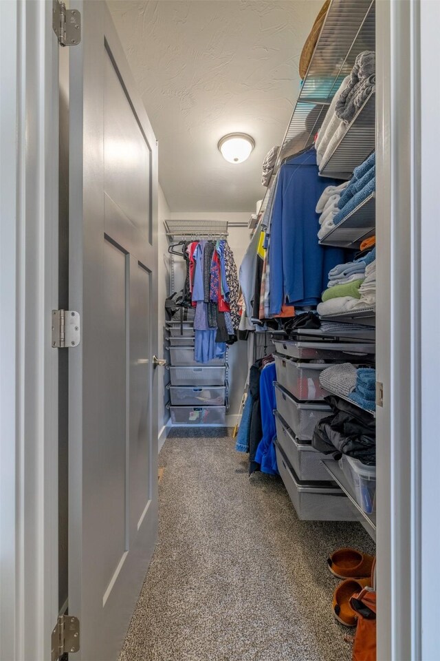 605-607 Leslie Ave, Helena, MT 59601 - walk in closet with carpet
