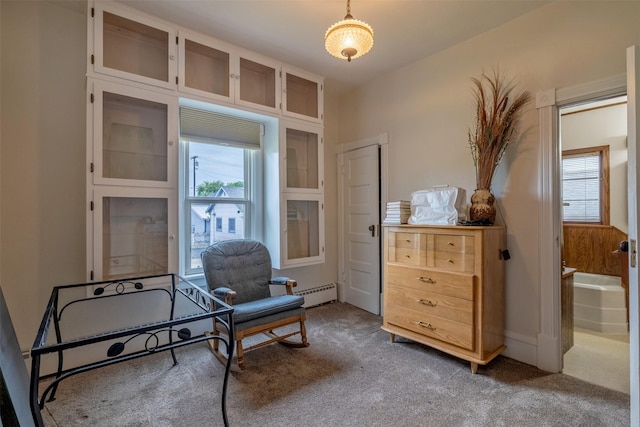 1414 Boulder Ave, Helena, MT 59601 - sitting room featuring healthy amount of natural light, carpet, and a baseboard heating unit