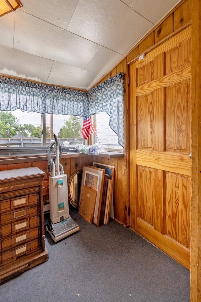 1414 Boulder Ave, Helena, MT 59601 - misc room featuring wooden walls, carpet, and lofted ceiling