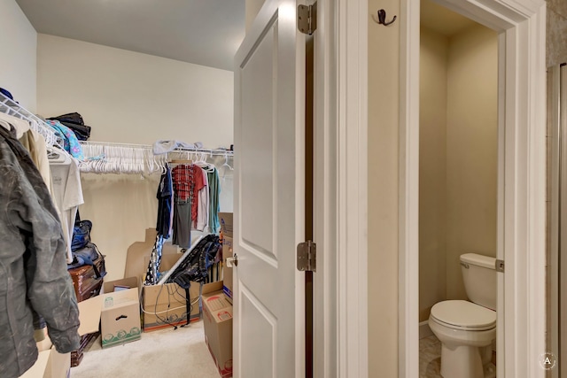 2871 Alexis Ave, Helena, MT 59601 - view of walk in closet