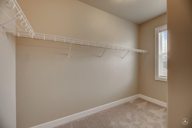2871 Alexis Ave, Helena, MT 59601 - walk in closet featuring carpet floors