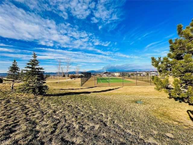 2871 Alexis Ave, Helena, MT 59601 - view of yard