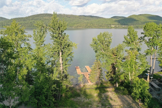 248 Jennings Lakeside Rd, Whitefish, MT 59937