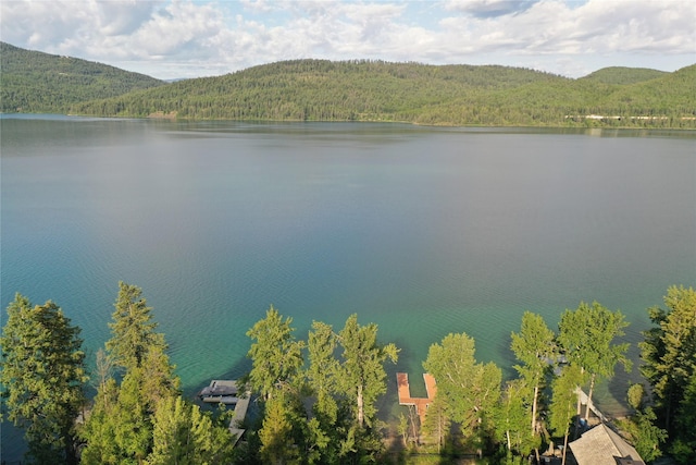 248 Jennings Lakeside Rd, Whitefish, MT 59937