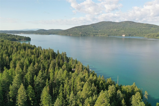 248 Jennings Lakeside Rd, Whitefish, MT 59937