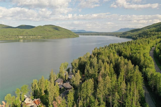 248 Jennings Lakeside Rd, Whitefish, MT 59937
