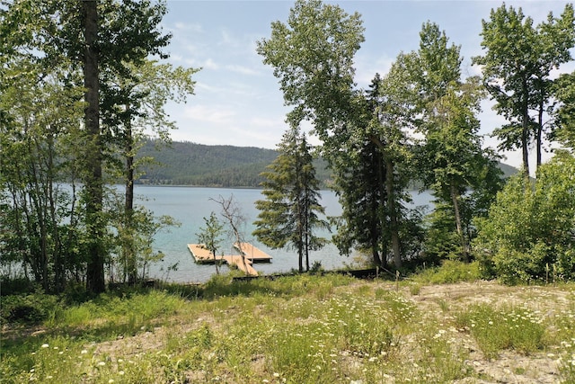248 Jennings Lakeside Rd, Whitefish, MT 59937