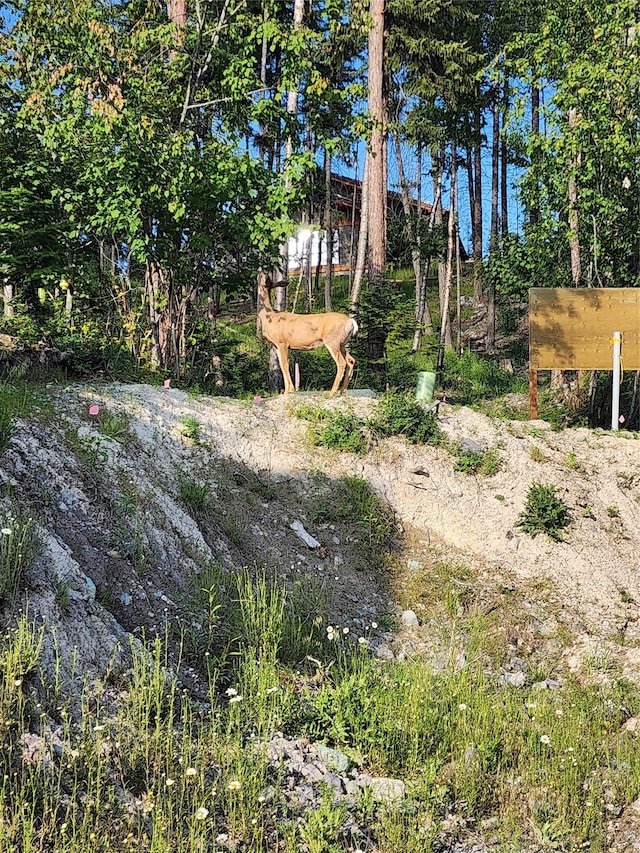248 Jennings Lakeside Rd, Whitefish, MT 59937