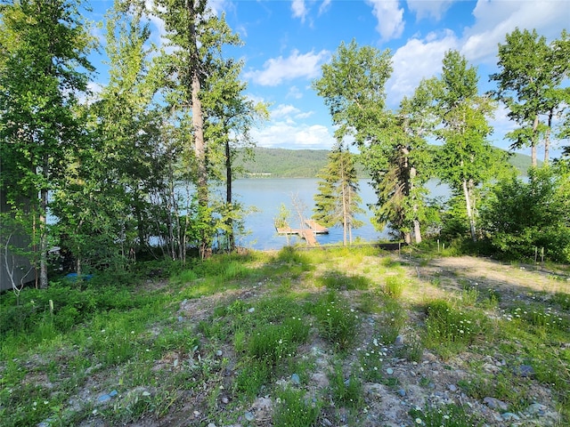 248 Jennings Lakeside Rd, Whitefish, MT 59937