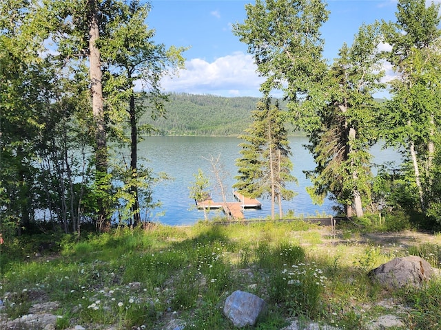 248 Jennings Lakeside Rd, Whitefish, MT 59937