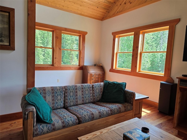 670GUSCREEK Gus Creek Rd, Yaak, MT 59935 - living room featuring vaulted ceiling, plenty of natural light, wood finished floors, and wooden ceiling