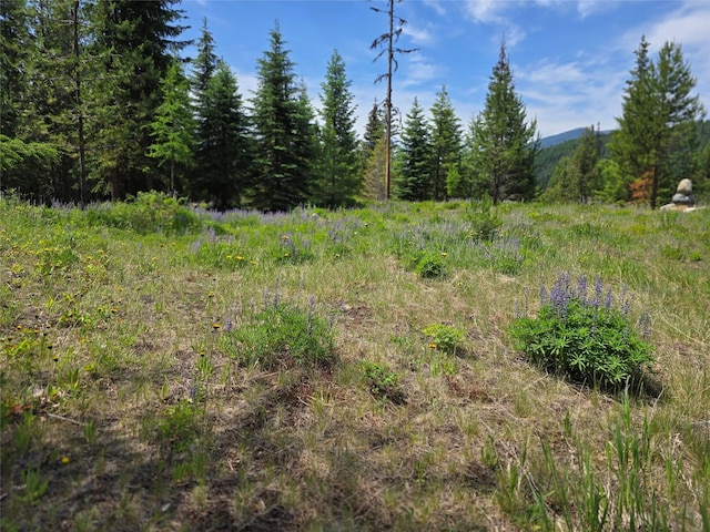 670GUSCREEK Gus Creek Rd, Yaak, MT 59935 - view of nature