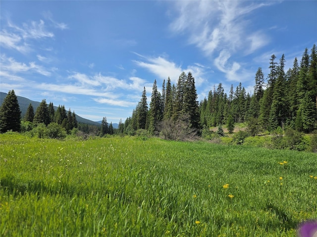 670GUSCREEK Gus Creek Rd, Yaak, MT 59935 - view of undeveloped land with a mountainous background