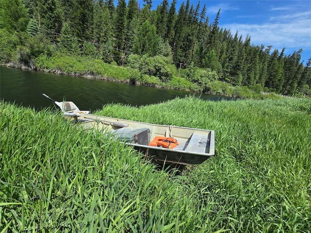 670GUSCREEK Gus Creek Rd, Yaak, MT 59935 - view of yard with a water view and a view of trees