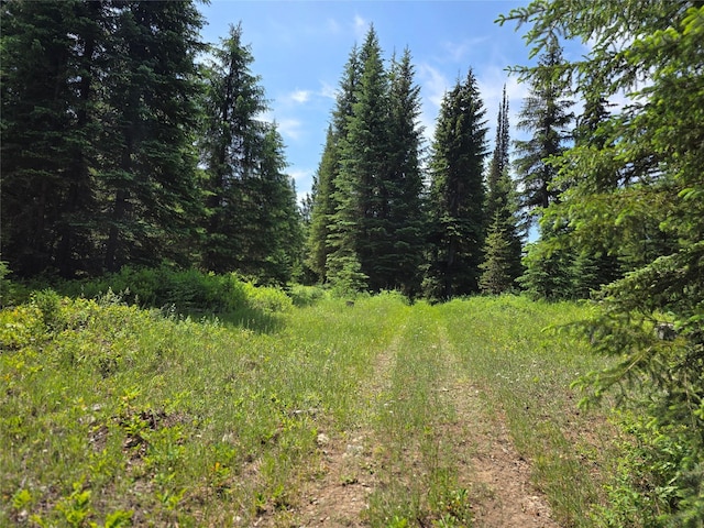670GUSCREEK Gus Creek Rd, Yaak, MT 59935 - view of tree filled area