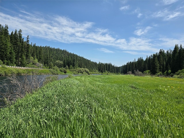 670GUSCREEK Gus Creek Rd, Yaak, MT 59935 - view of wooded area with a water view