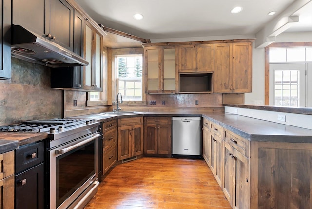 54 Bluebird Dr, Kalispell, MT 59901 - kitchen featuring appliances with stainless steel finishes, under cabinet range hood, dark countertops, light wood-style floors, and recessed lighting