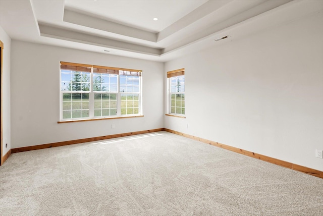 54 Bluebird Dr, Kalispell, MT 59901 - unfurnished room with carpet flooring and a raised ceiling